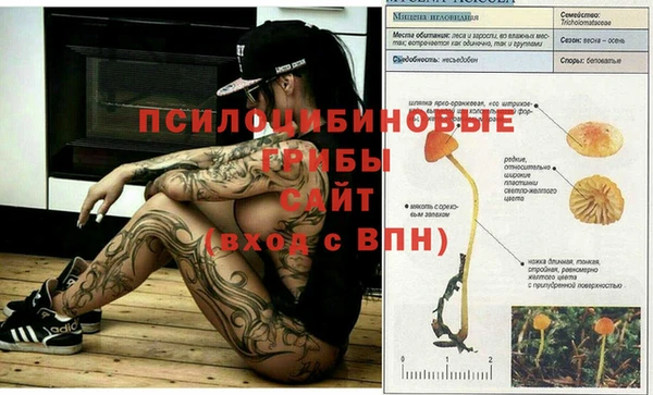 бутират Армянск