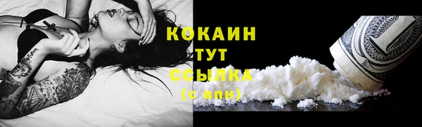 твердый Арсеньев